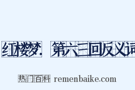 红楼梦．第六三回反义词是什么意思的图片